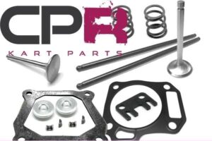 Valve Stainless Steel & Spring Kit with Retainers Lash Caps Chromoly Pushrods and Gaskets Suit Honda Clone GX200 ENCL65