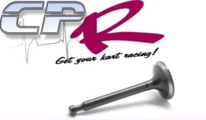 Valve INLET Stock Clone Suit Honda Clone GX390