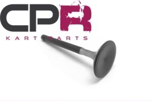 Valve INLET 25mm Stainless Steel Polished Suit Honda Clone GX200 ENCL65 (Long)