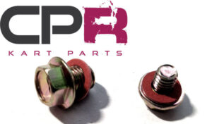 Go Kart GX200 Carburettor Float Bowl Retainer and Drain Screws Bolts Large and Small with washers